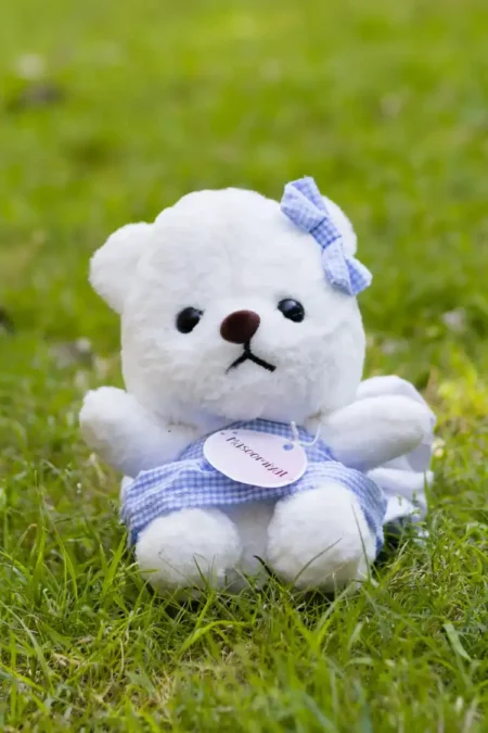Masoomiyat Cute White Teddy Bear Plush Toy