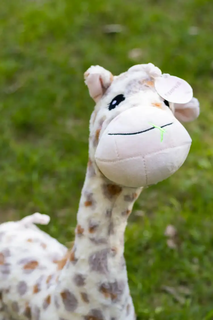 Masoomiyat Cute Giraffe Plush Toy
